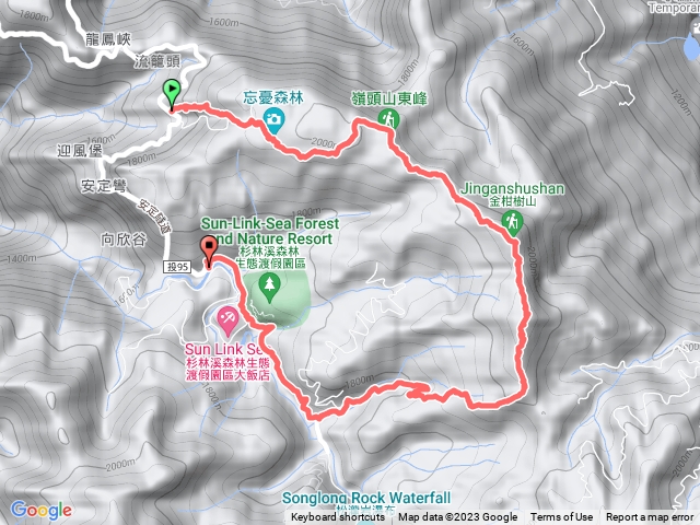 竹林忘憂金柑樹山藥花園