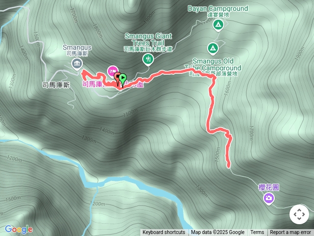 司馬庫斯巨木群散步