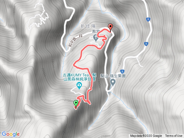 新佳陽黑森林步道