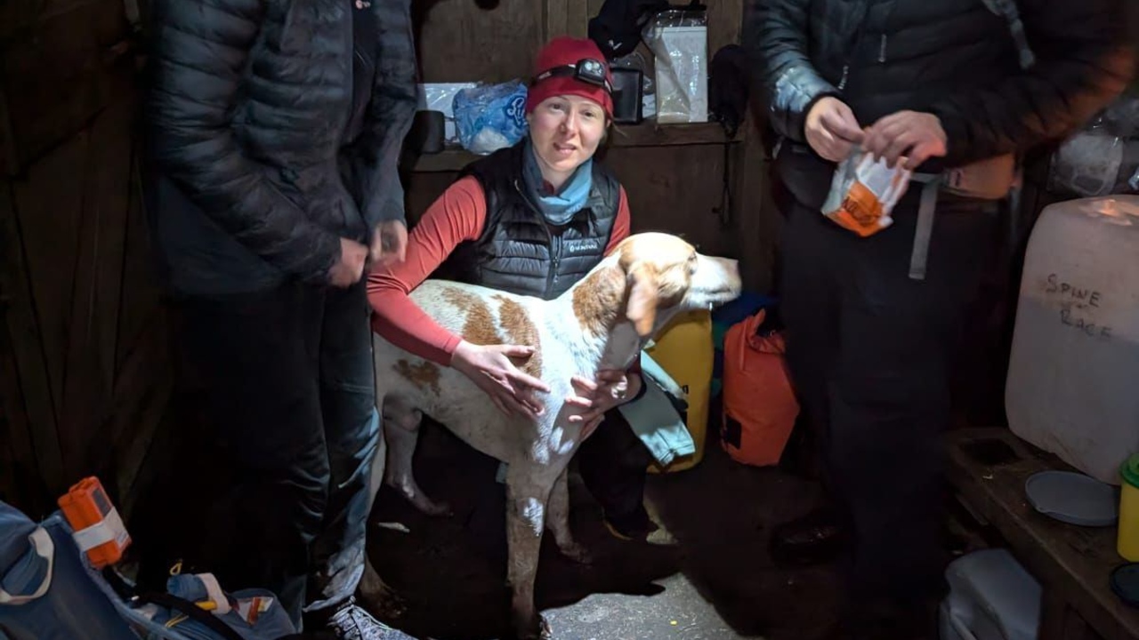 【話題】英國越野女將零下救援迷途犬，挑戰 250 公里仍奪季軍！