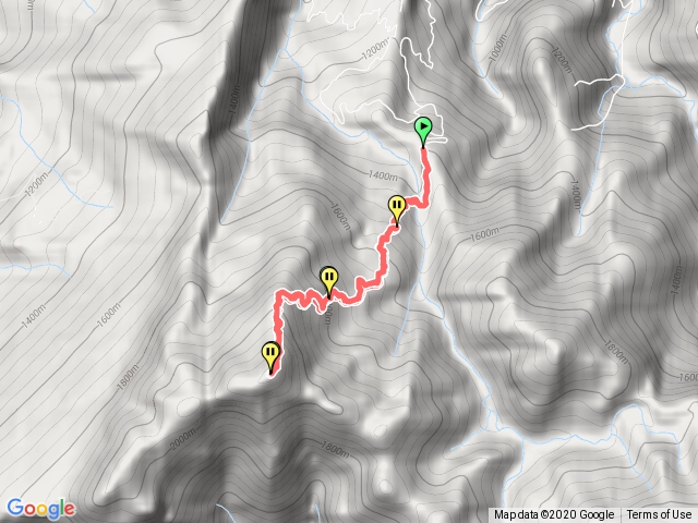 加里山鹿場進出