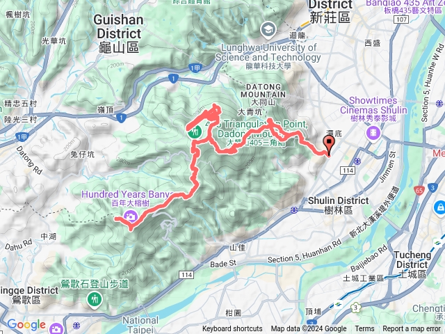 樹林大同山青龍嶺大凍山大榕樹來回