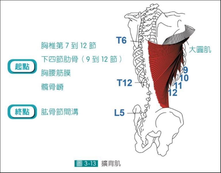 【書摘】《呼吸：啟動筋膜自癒的開關》為什