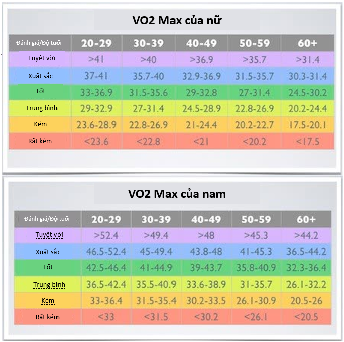 [Kiến Thức] Cách Tính VO2 Max Chỉ Trong 12 Phút Theo Phương Pháp Cooper