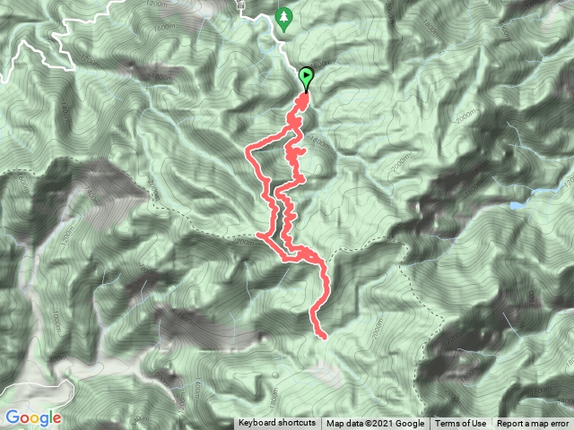 2021102627水漾森林（林道去鹿屈山回$