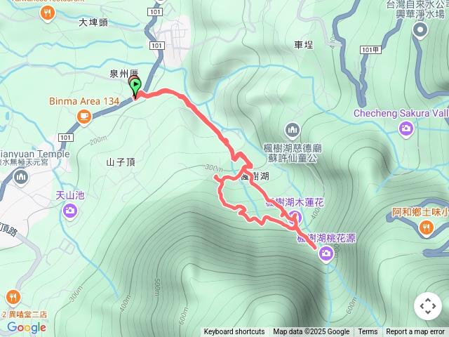 淡水楓樹湖木蓮花櫻花