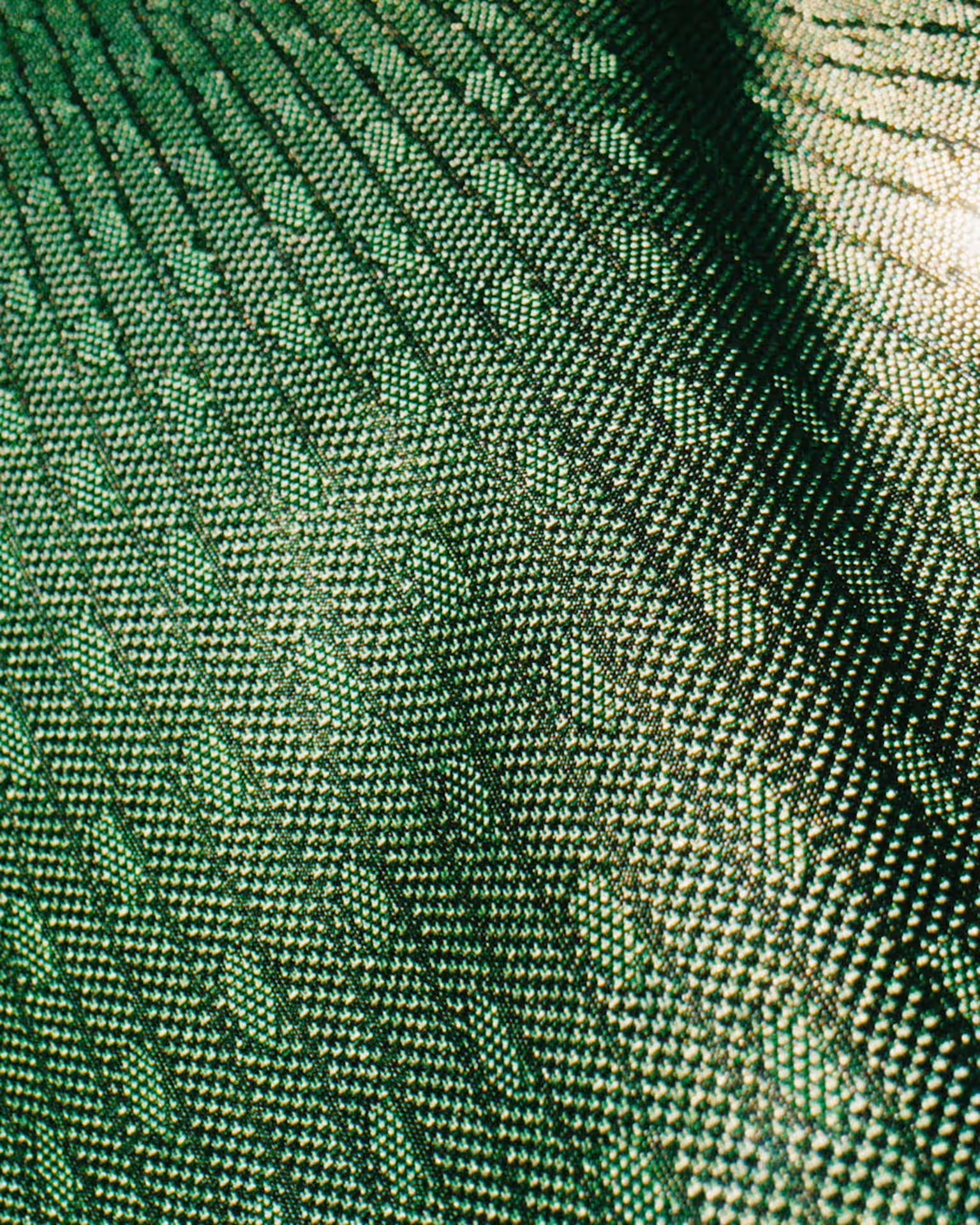 391c486c266e0509611e4ef37fde7c2d9fc3d7152ba9336a670e36d0ed79bc43.jpg