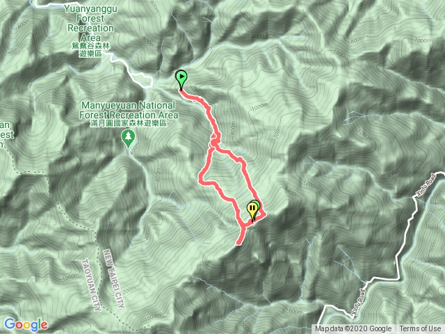 樂佩O型來看朋友山毛櫸