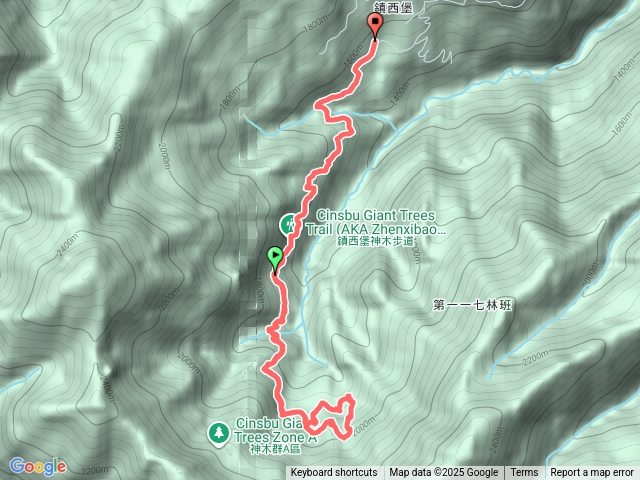 鎮西堡B區巨木群