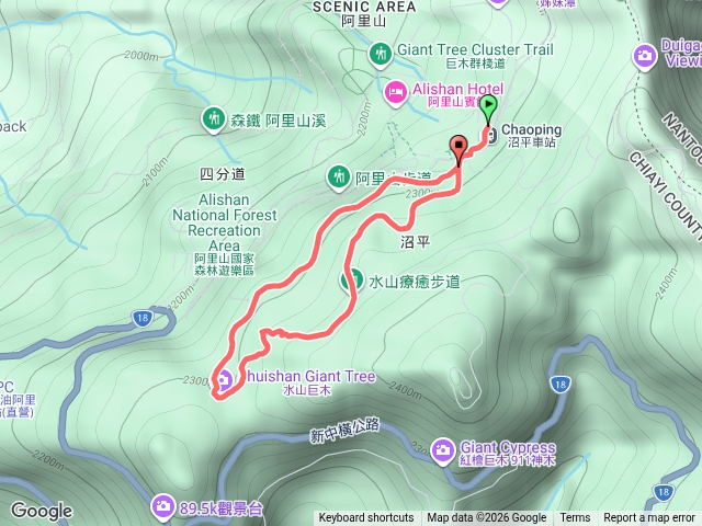 水山巨木預覽圖
