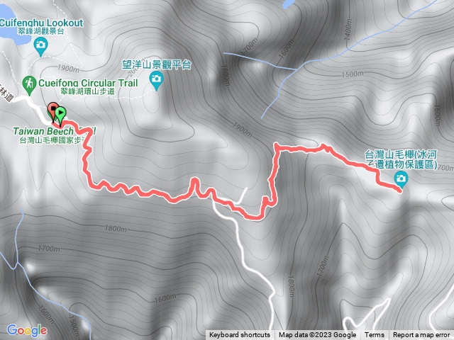 太平山森林山毛櫸步道