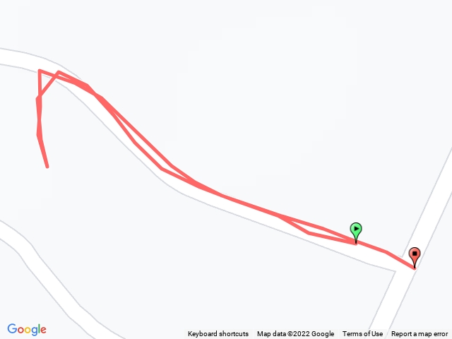 苗栗/銅鑼/樟樹林