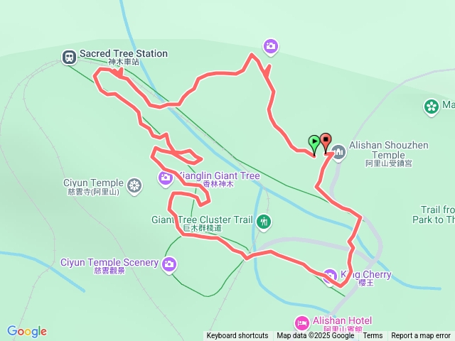 2025-07-12_阿里山巨木群步道