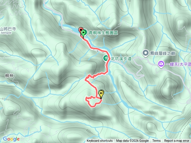 青桐林、北坑溪，樟樹林步道健走20260222