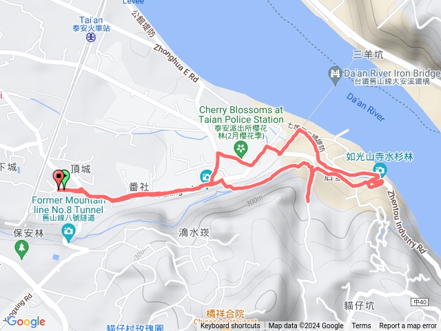 台中后里泰安車站櫻花季休閒園區20240225