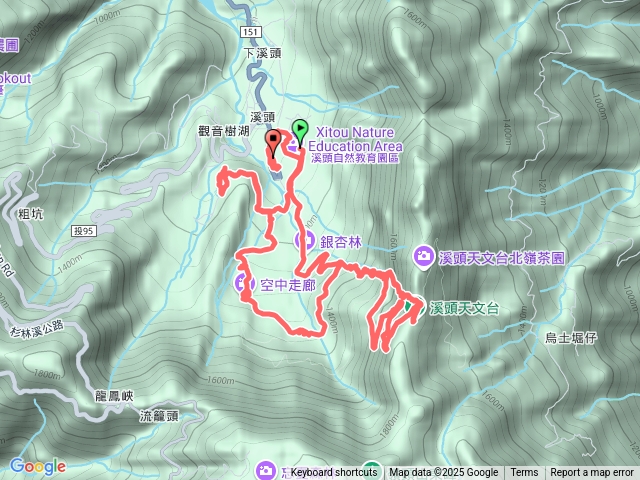 溪頭森林遊樂區
