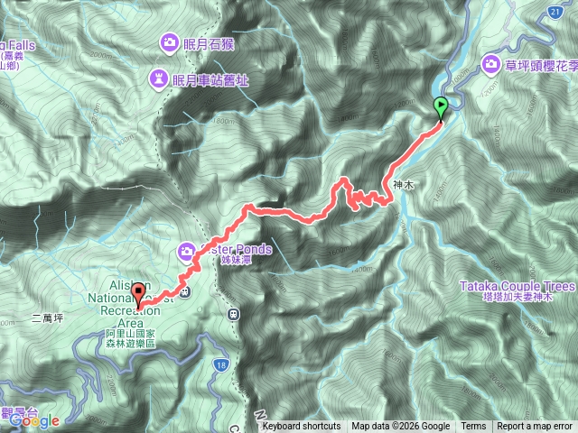 2026-0306神木村到阿里山
