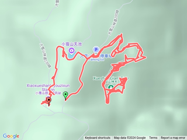 大雪山神木天池