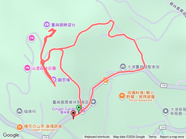 115/5/31薑麻園桐花出關步道