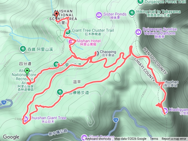 漫步阿里山預覽圖