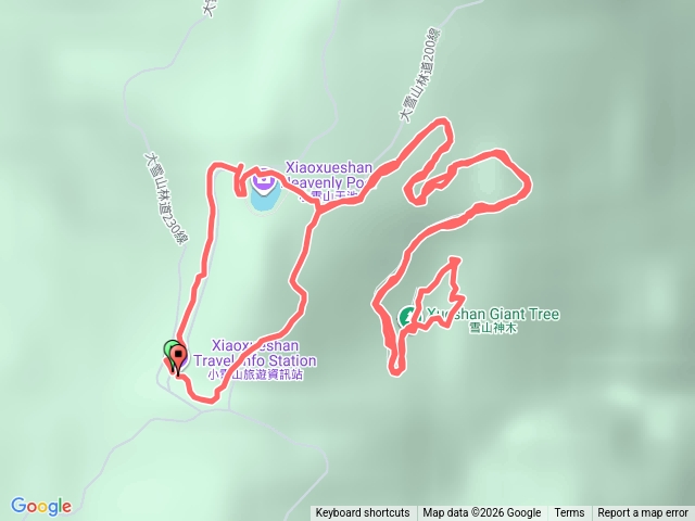 雪山神木、小雪山天池預覽圖