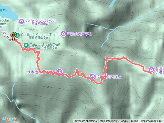 臺灣山毛櫸步道