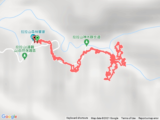 20210905 拉拉山神木群