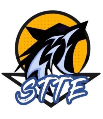 STTE