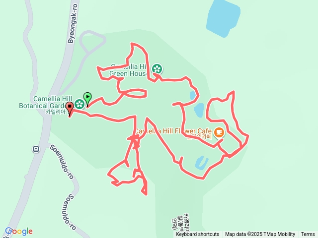 山茶花之丘（CamelliaHill）