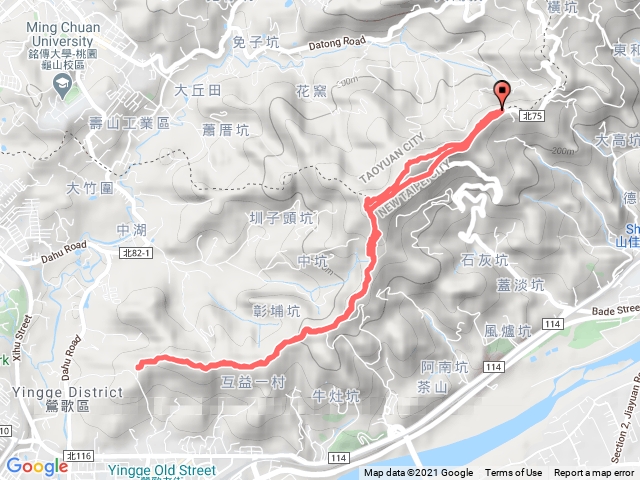 鶯歌大榕樹縱走忠義宮