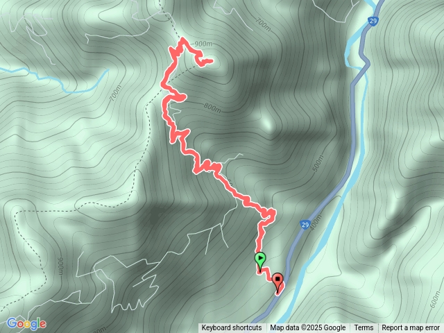 250824魯蛋西阿里關山