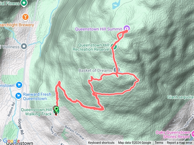 Queenstownhillwalkway