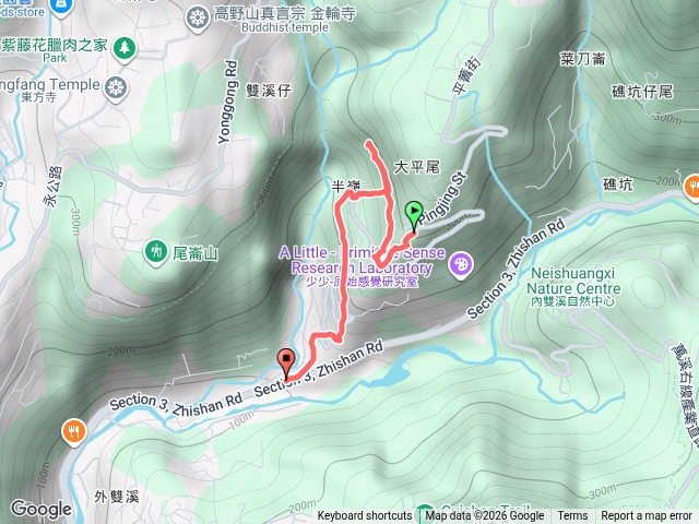 跳石水圳山芹菜