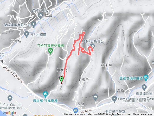 新竹芎林燒炭窩步道_式穀祠大板根