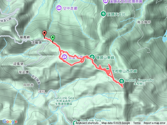 流龍頭金柑樹預覽圖