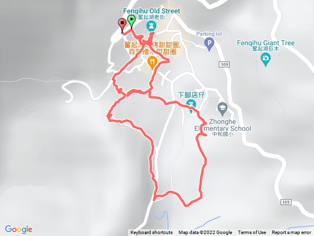 奮起湖杉林木棧道