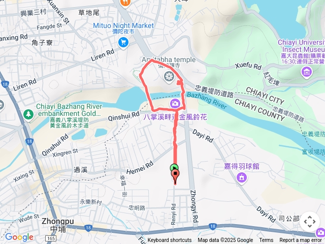 20250312-八掌溪黃花風鈴木