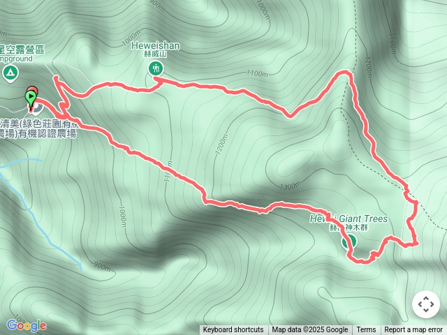 2025.03.20赫威山-赫威神木群