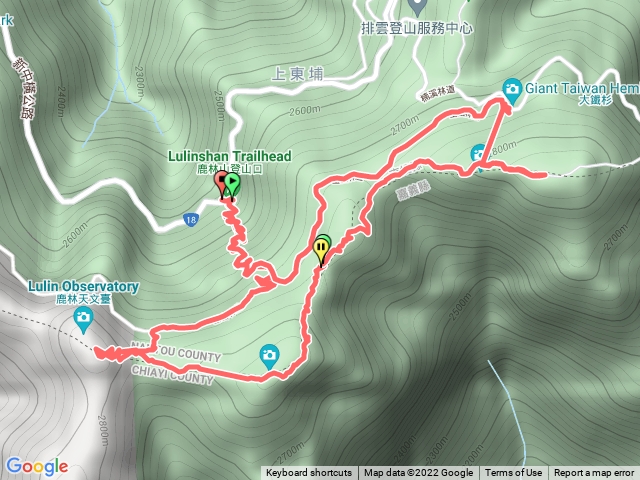 鹿林前山.鹿林山.麟趾山大鐵樹