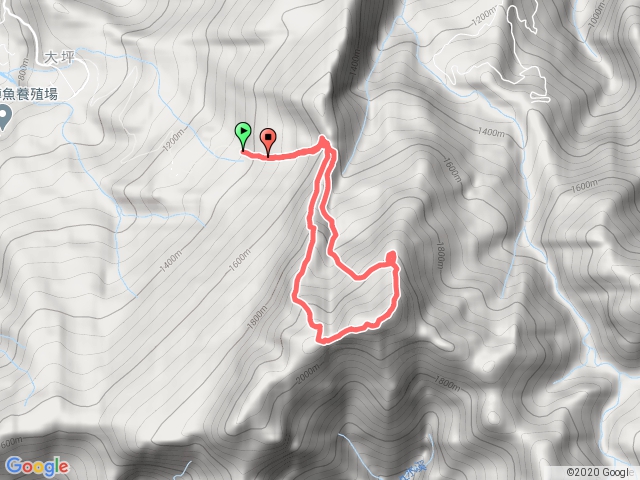 大坪登山口-杜鵑嶺-加里山