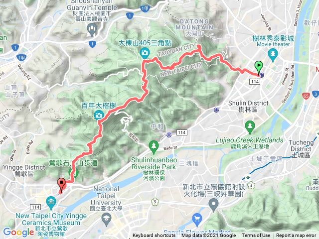樹鶯1