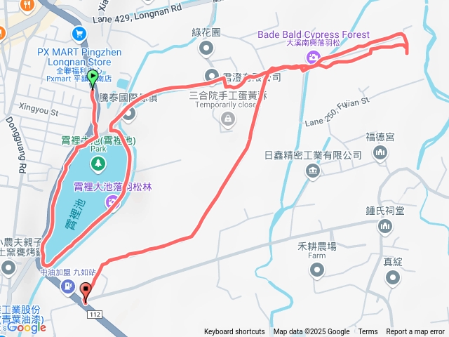 20250103-霄裡大池,南興落羽松