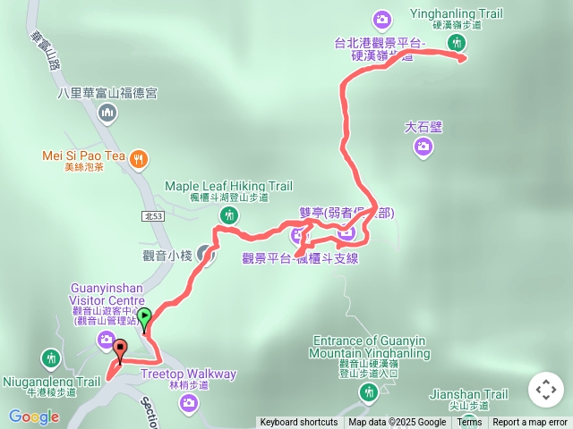 觀音山賞桐花