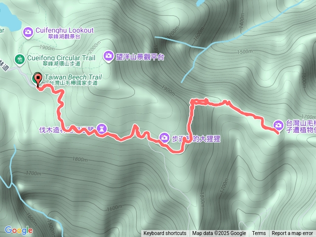 太平山山毛櫸步道20251010