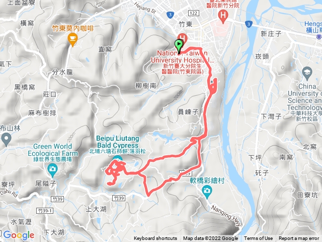 北埔六塘落羽松