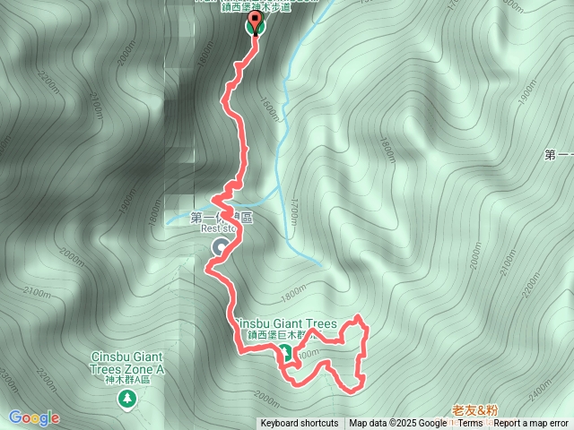 鎮西堡神木_B區