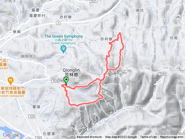 飛鳳山大板根