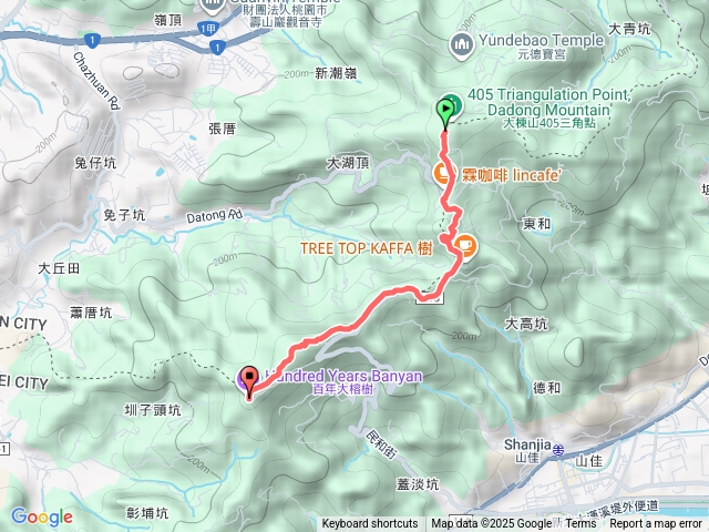 大棟山-百年大榕樹
