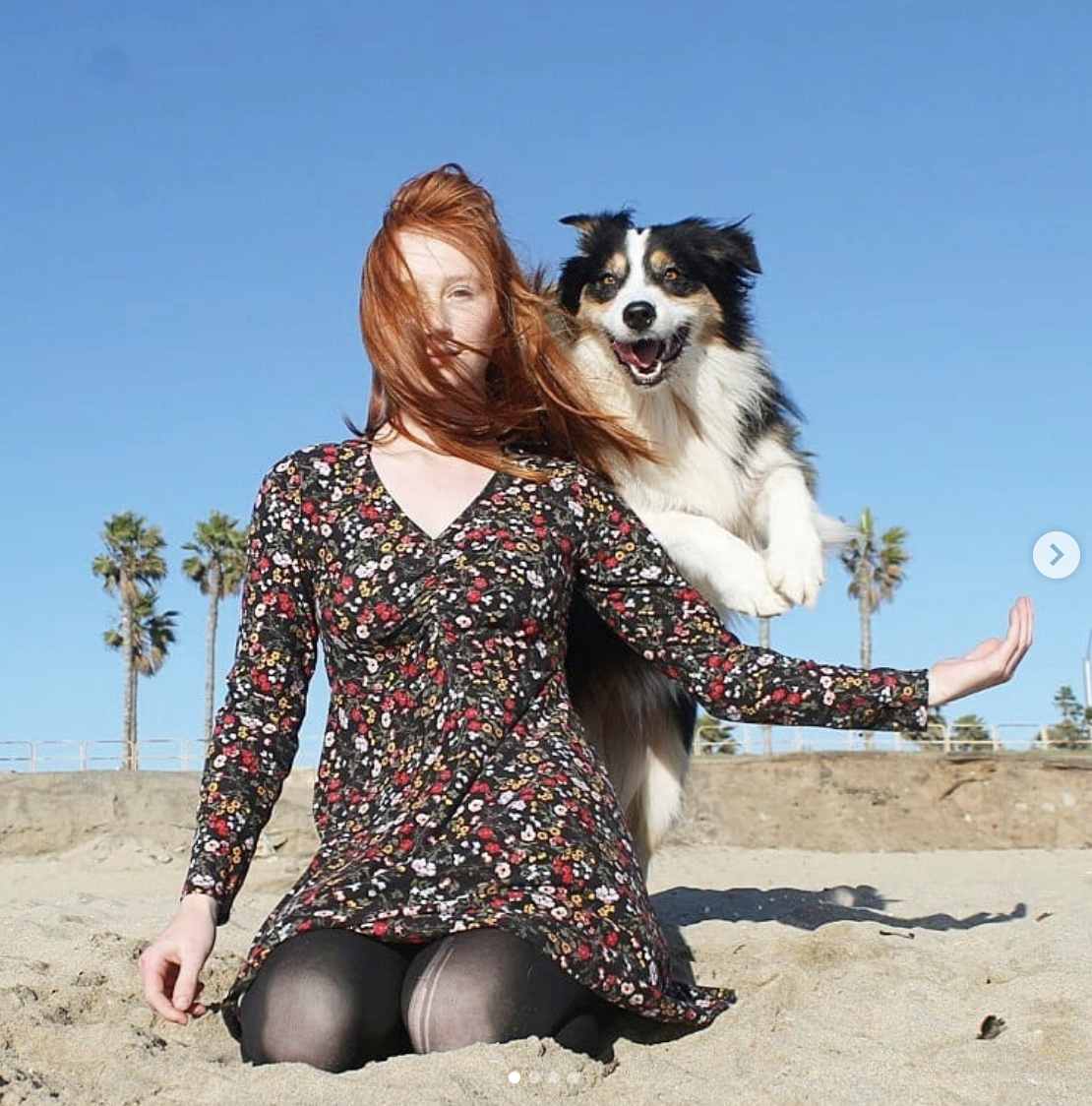 話題 地表最強神犬 人狗合體雙人瑜珈舉啞鈴健身數十萬網友狂讚 文章 運動筆記