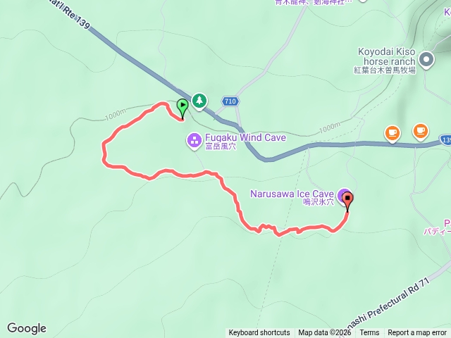 青木原樹海